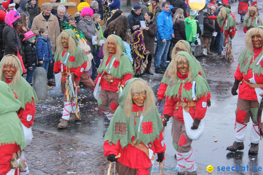 Fasnetsumzug - Fasching: Langenargen am Bodensee, 10.01.2016