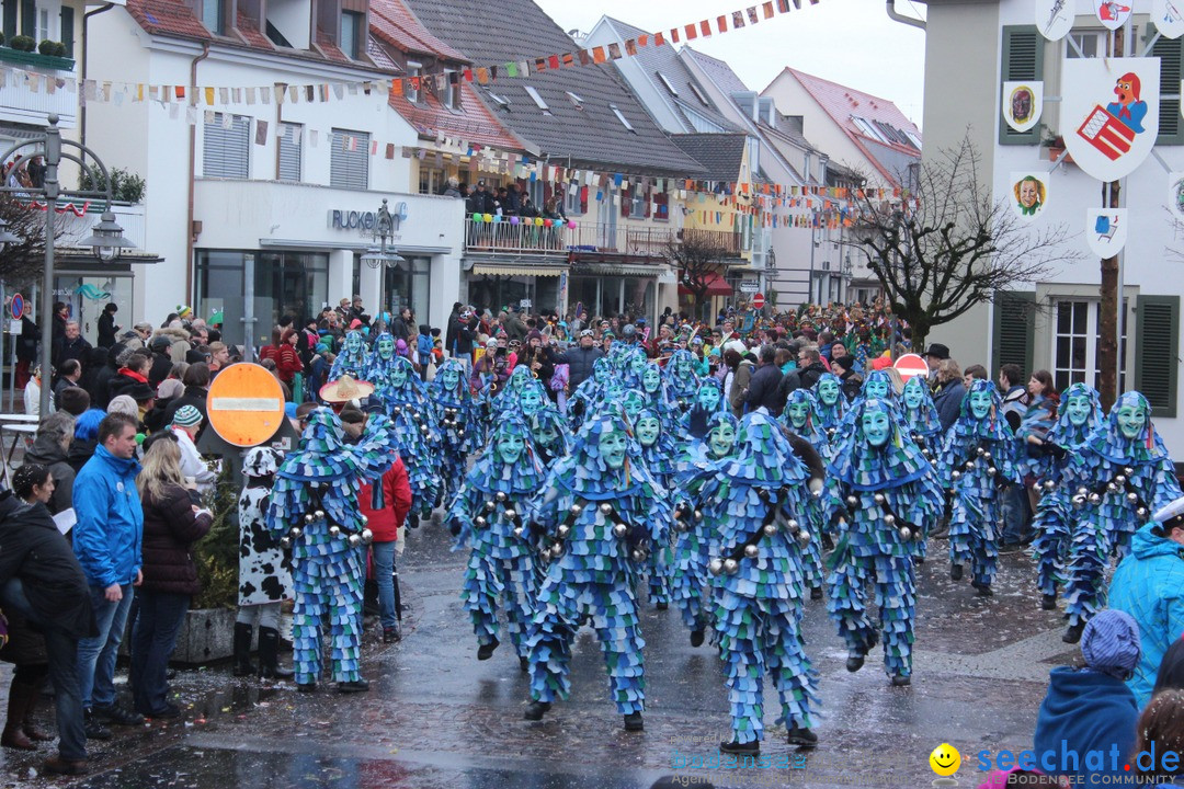 Fasnetsumzug - Fasching: Langenargen am Bodensee, 10.01.2016