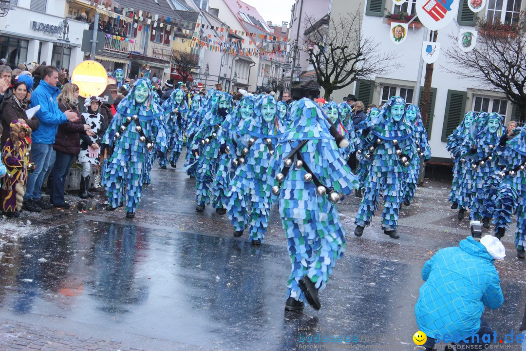 Fasnetsumzug - Fasching: Langenargen am Bodensee, 10.01.2016