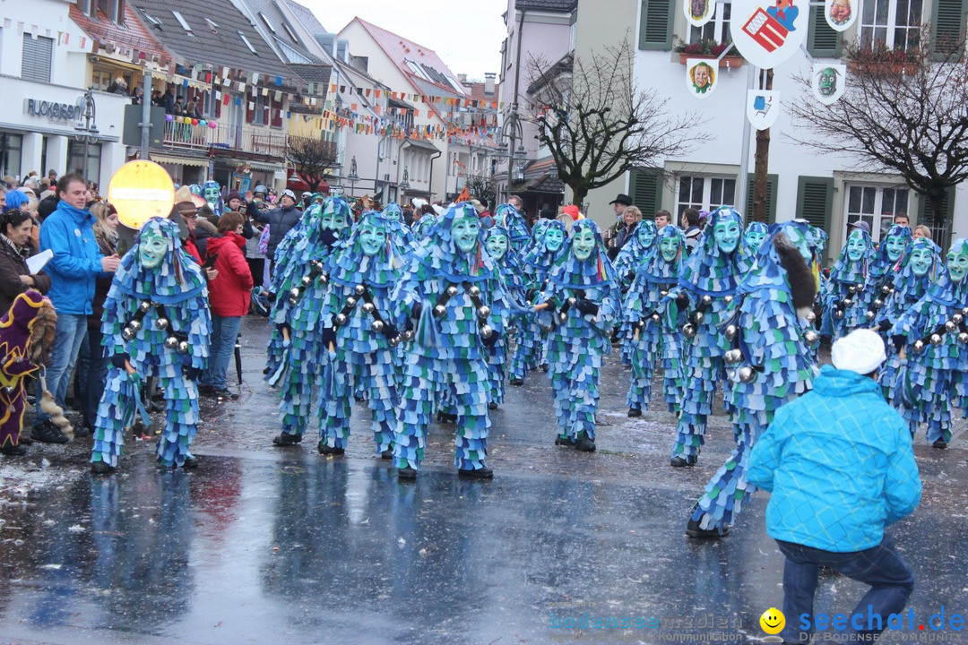 Fasnetsumzug - Fasching: Langenargen am Bodensee, 10.01.2016