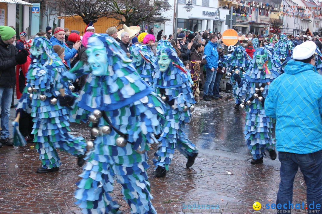 Fasnetsumzug - Fasching: Langenargen am Bodensee, 10.01.2016