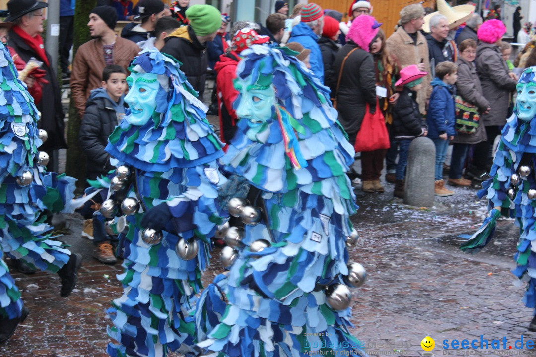 Fasnetsumzug - Fasching: Langenargen am Bodensee, 10.01.2016