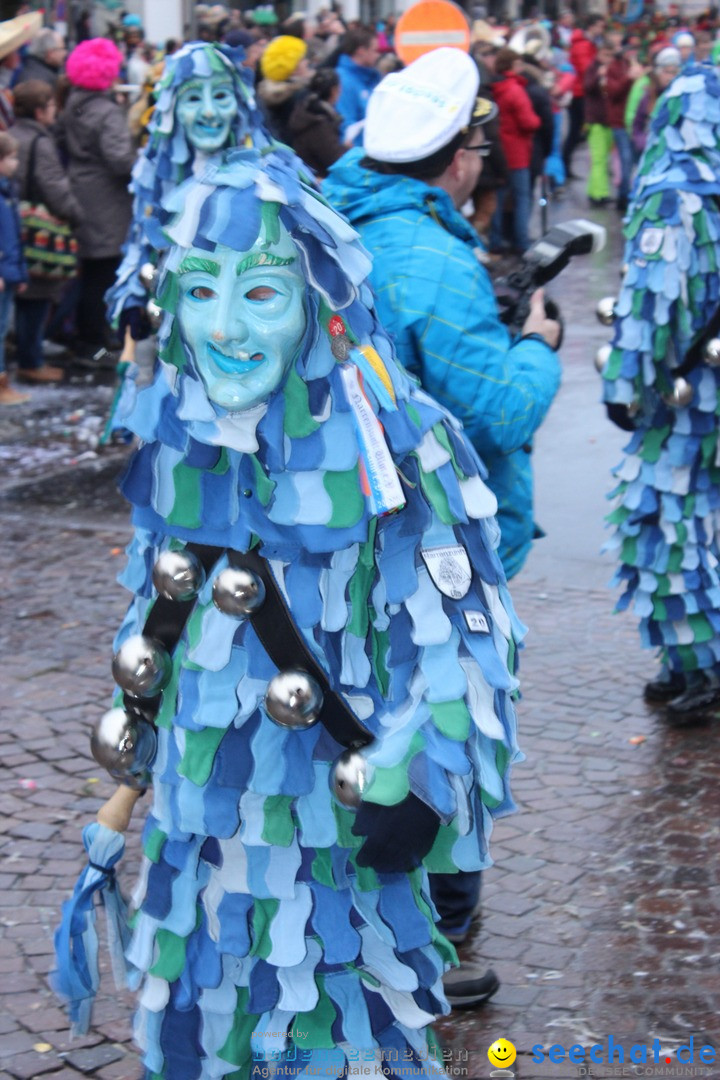 Fasnetsumzug - Fasching: Langenargen am Bodensee, 10.01.2016