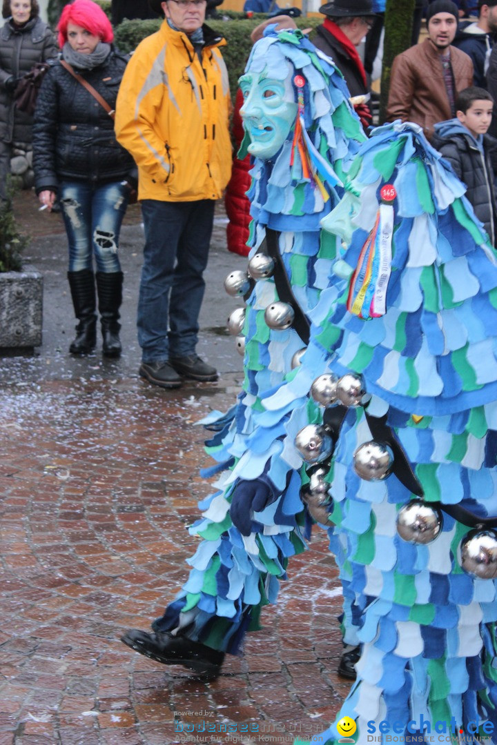 Fasnetsumzug - Fasching: Langenargen am Bodensee, 10.01.2016