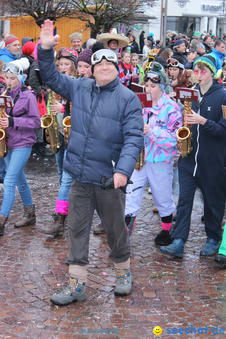 Fasnetsumzug - Fasching: Langenargen am Bodensee, 10.01.2016