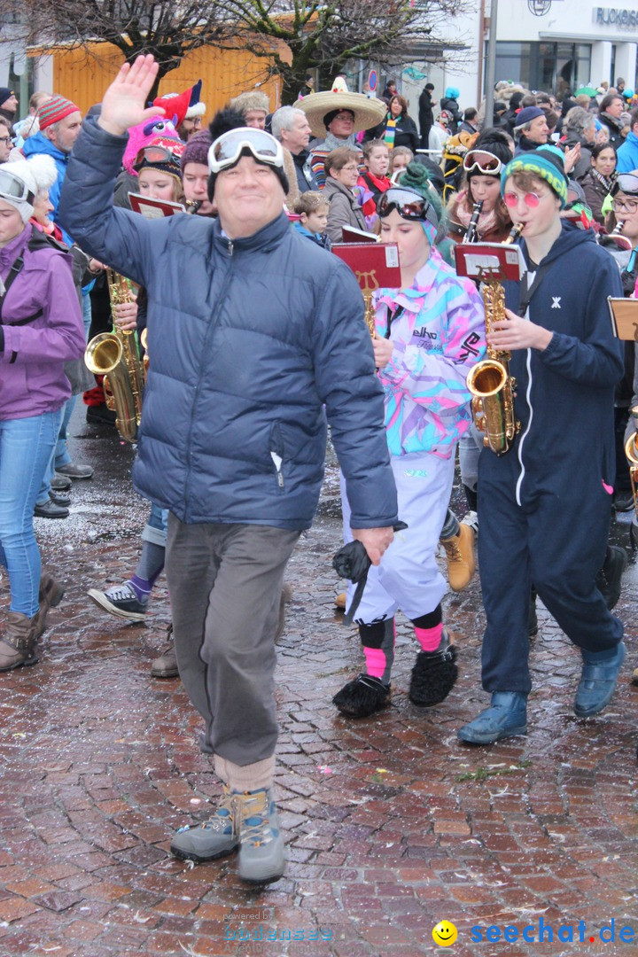 Fasnetsumzug - Fasching: Langenargen am Bodensee, 10.01.2016