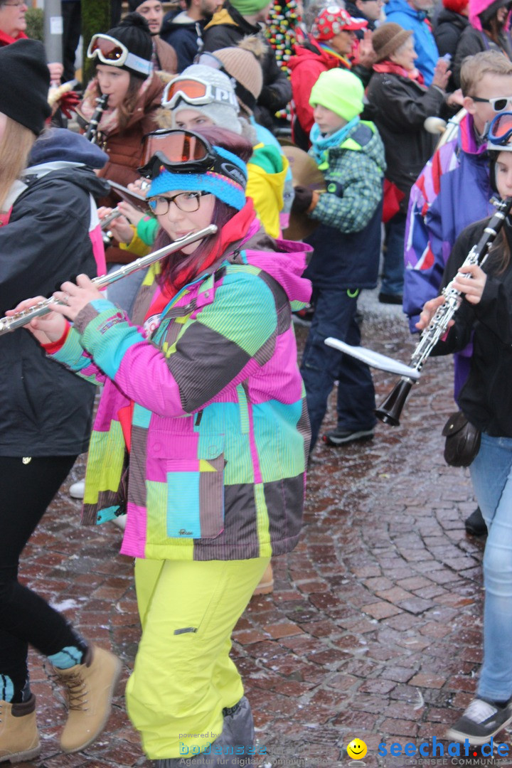 Fasnetsumzug - Fasching: Langenargen am Bodensee, 10.01.2016