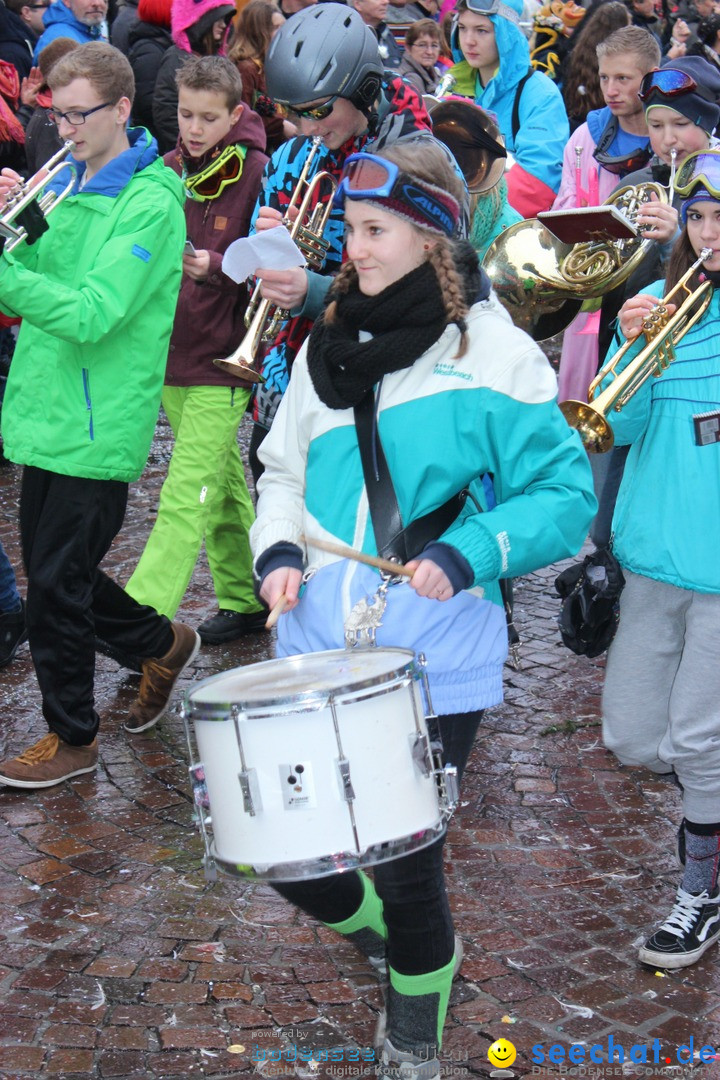 Fasnetsumzug - Fasching: Langenargen am Bodensee, 10.01.2016