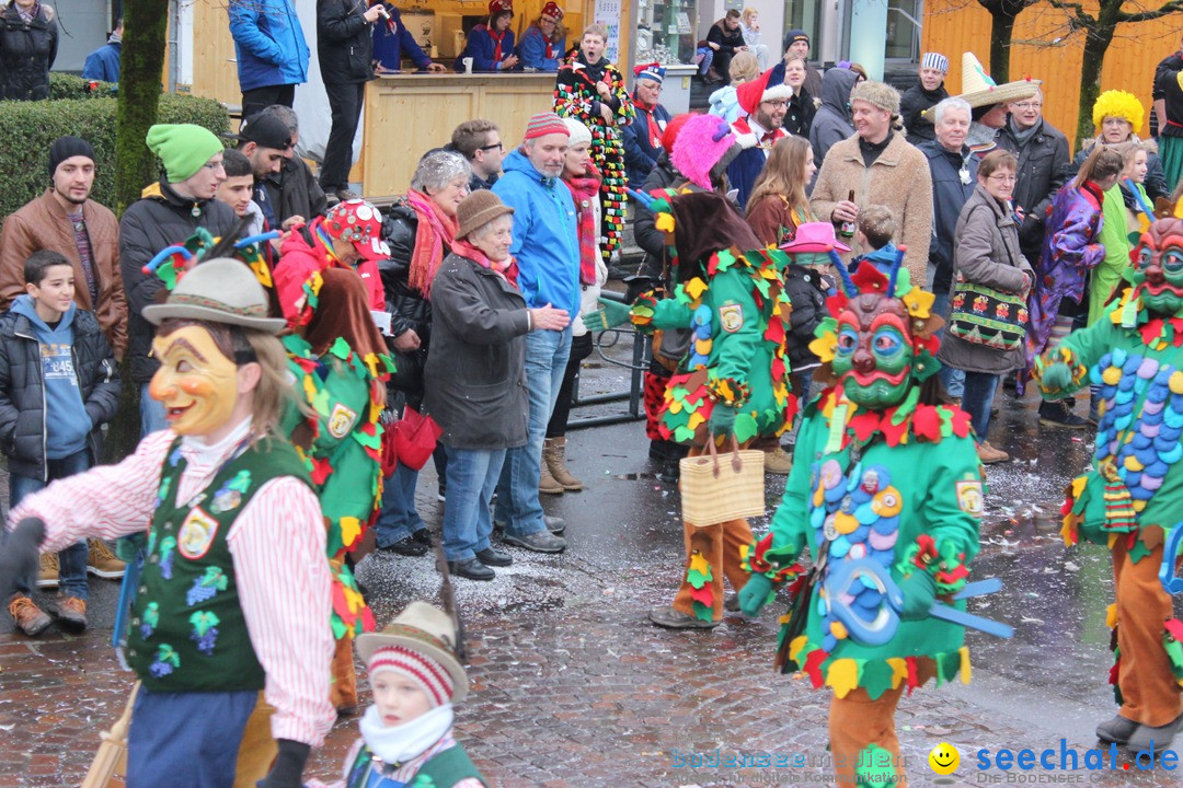 Fasnetsumzug - Fasching: Langenargen am Bodensee, 10.01.2016