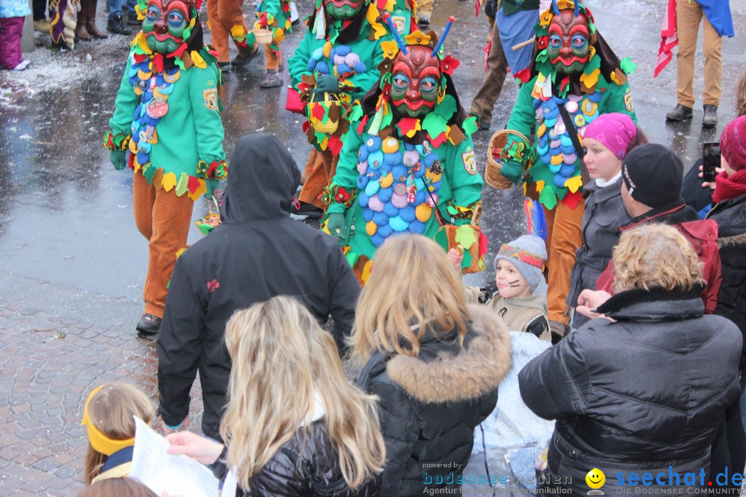 Fasnetsumzug - Fasching: Langenargen am Bodensee, 10.01.2016