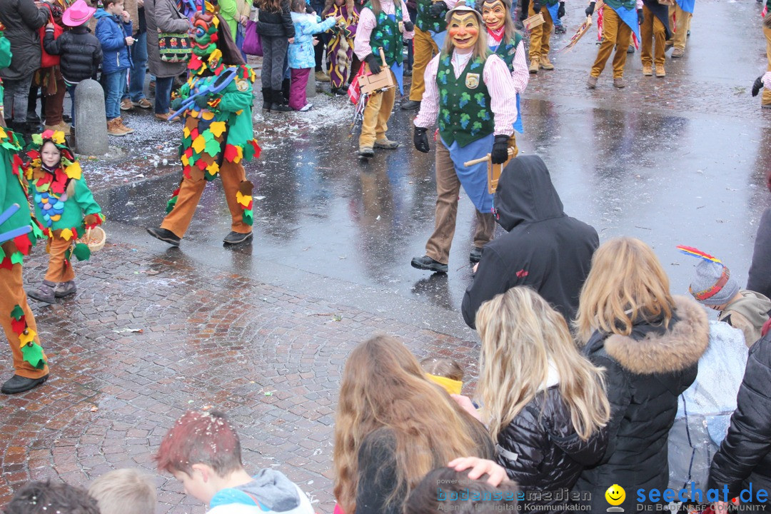 Fasnetsumzug - Fasching: Langenargen am Bodensee, 10.01.2016