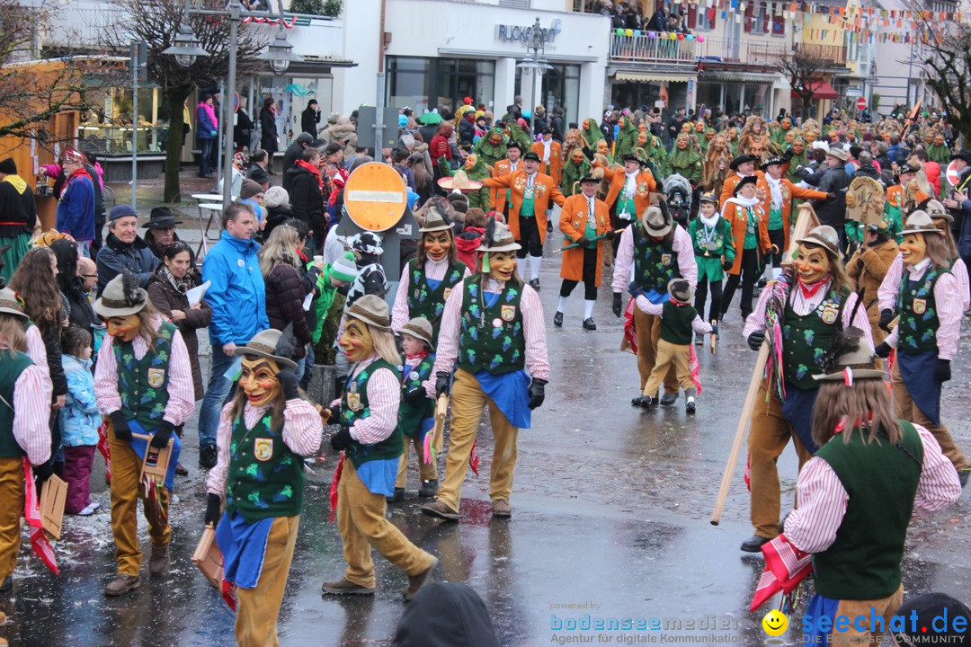 Fasnetsumzug - Fasching: Langenargen am Bodensee, 10.01.2016