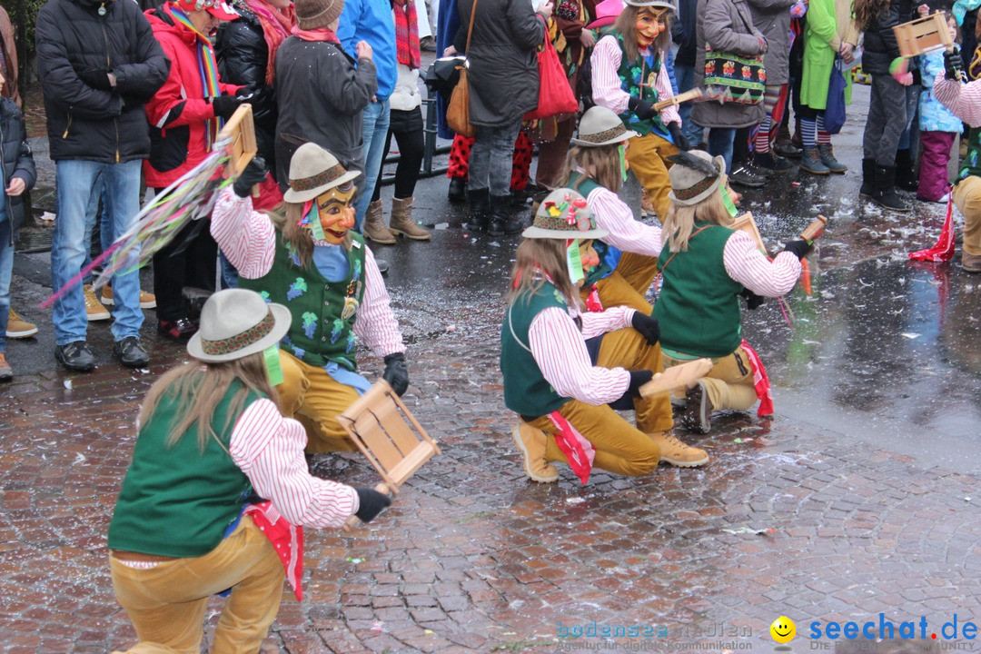 Fasnetsumzug - Fasching: Langenargen am Bodensee, 10.01.2016