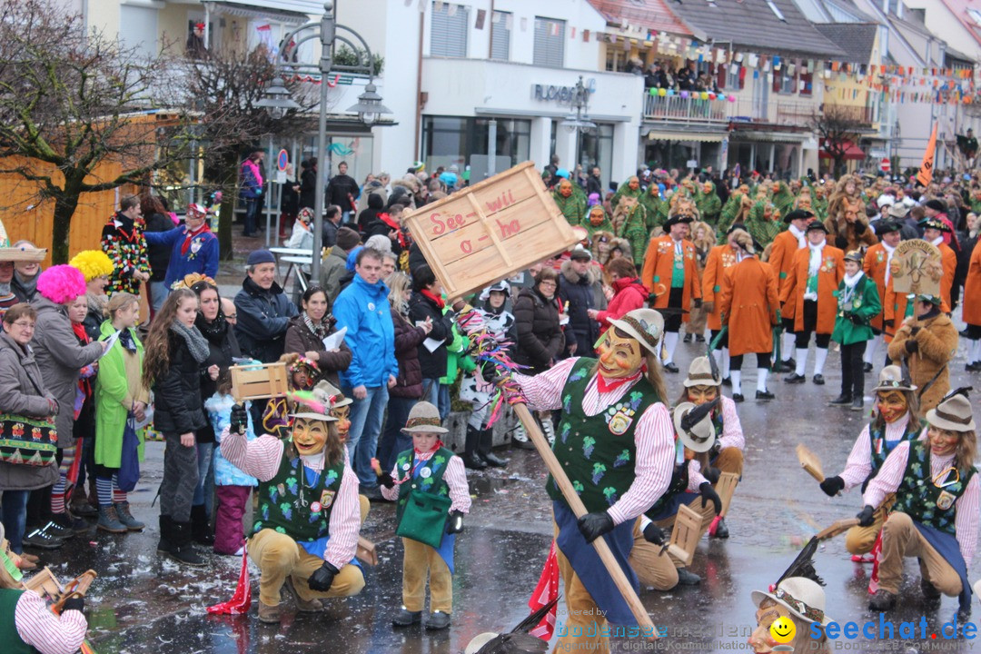 Fasnetsumzug - Fasching: Langenargen am Bodensee, 10.01.2016