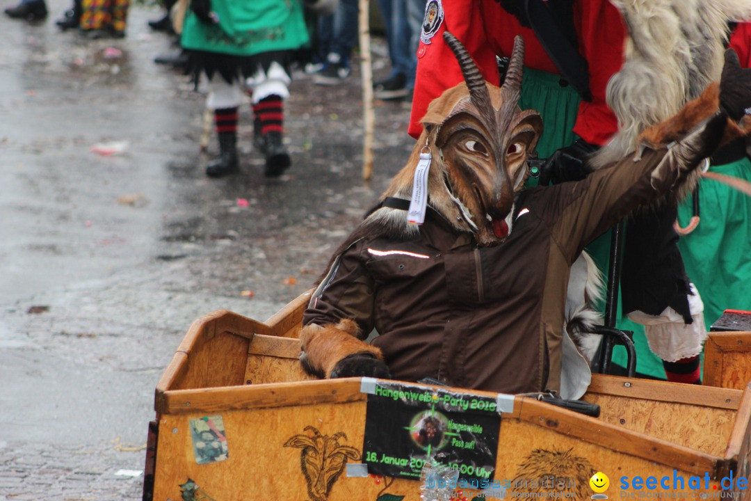 Fasnetsumzug - Fasching: Langenargen am Bodensee, 10.01.2016