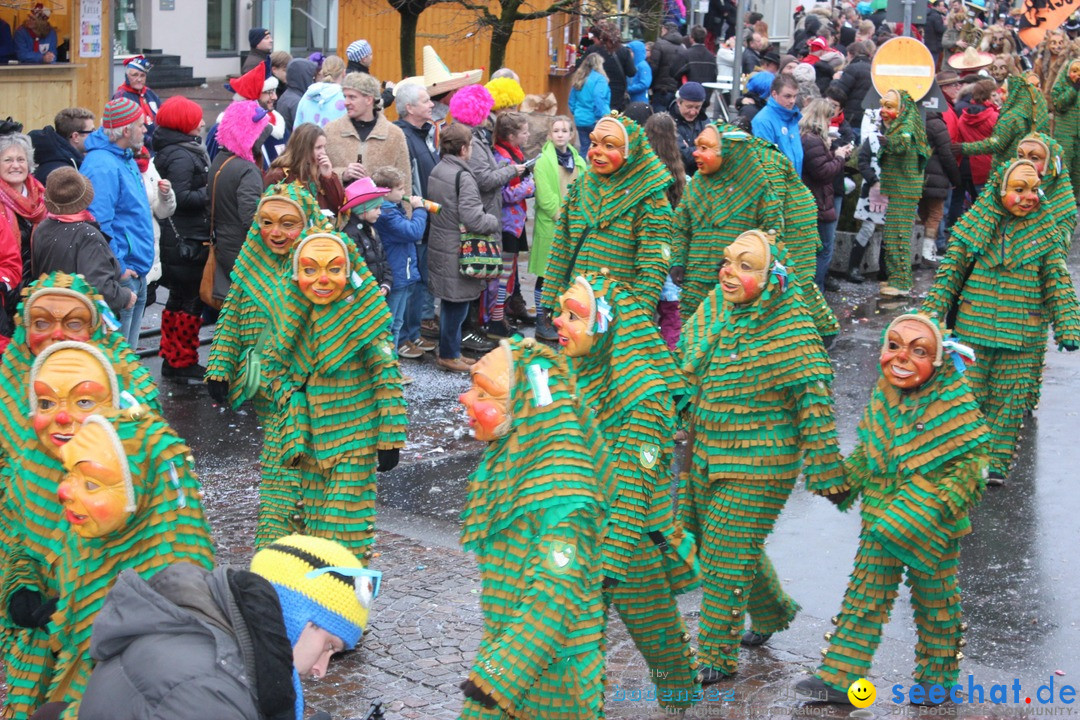 Fasnetsumzug - Fasching: Langenargen am Bodensee, 10.01.2016