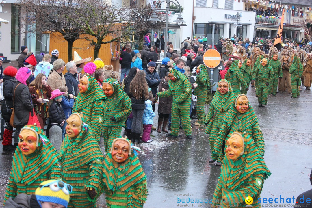 Fasnetsumzug - Fasching: Langenargen am Bodensee, 10.01.2016