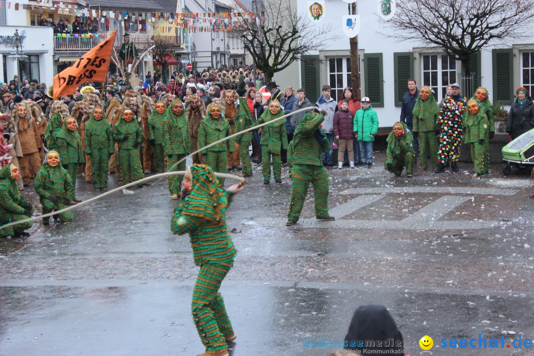 Fasnetsumzug - Fasching: Langenargen am Bodensee, 10.01.2016