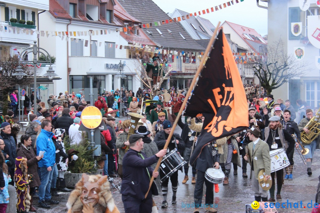 Fasnetsumzug - Fasching: Langenargen am Bodensee, 10.01.2016