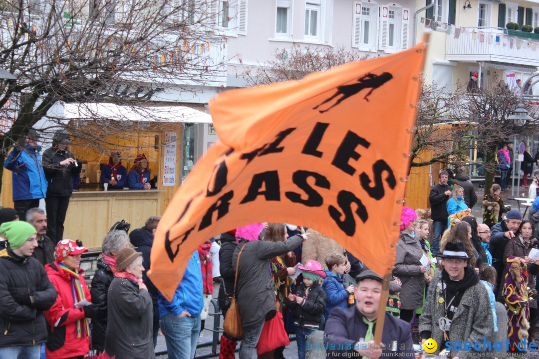 Fasnetsumzug - Fasching: Langenargen am Bodensee, 10.01.2016