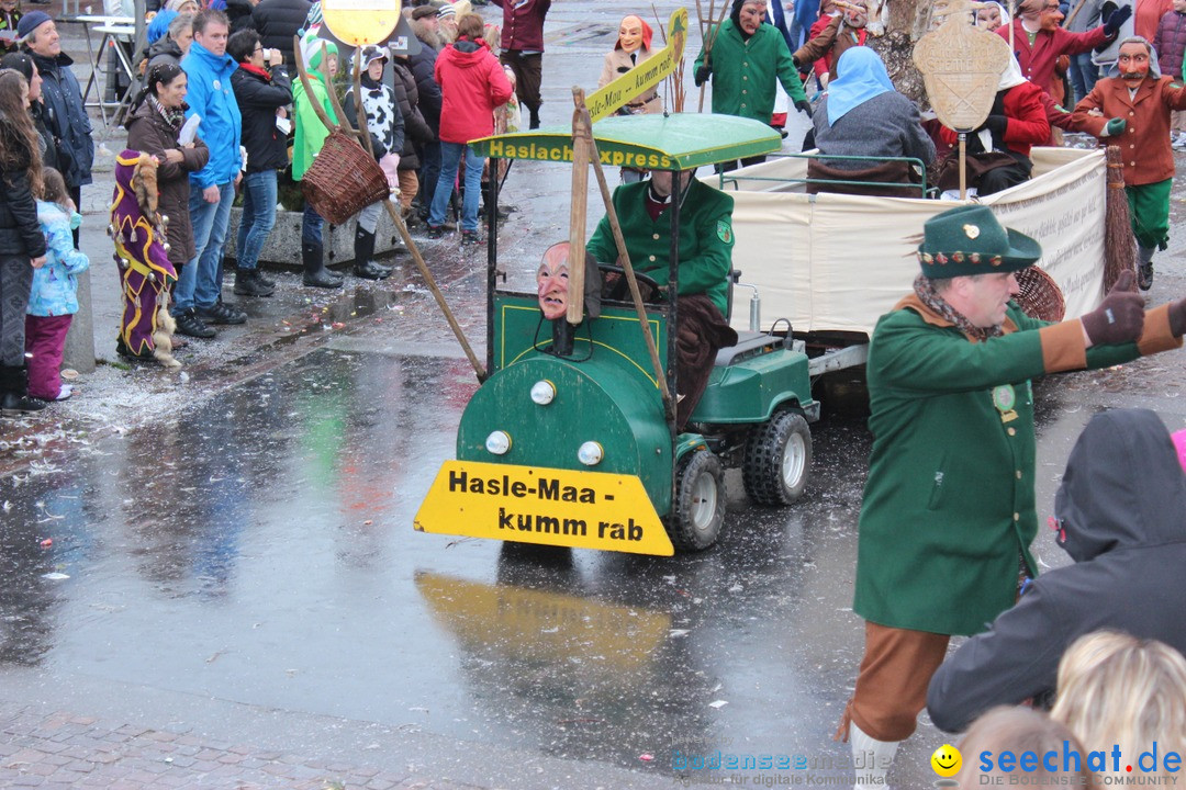 Fasnetsumzug - Fasching: Langenargen am Bodensee, 10.01.2016