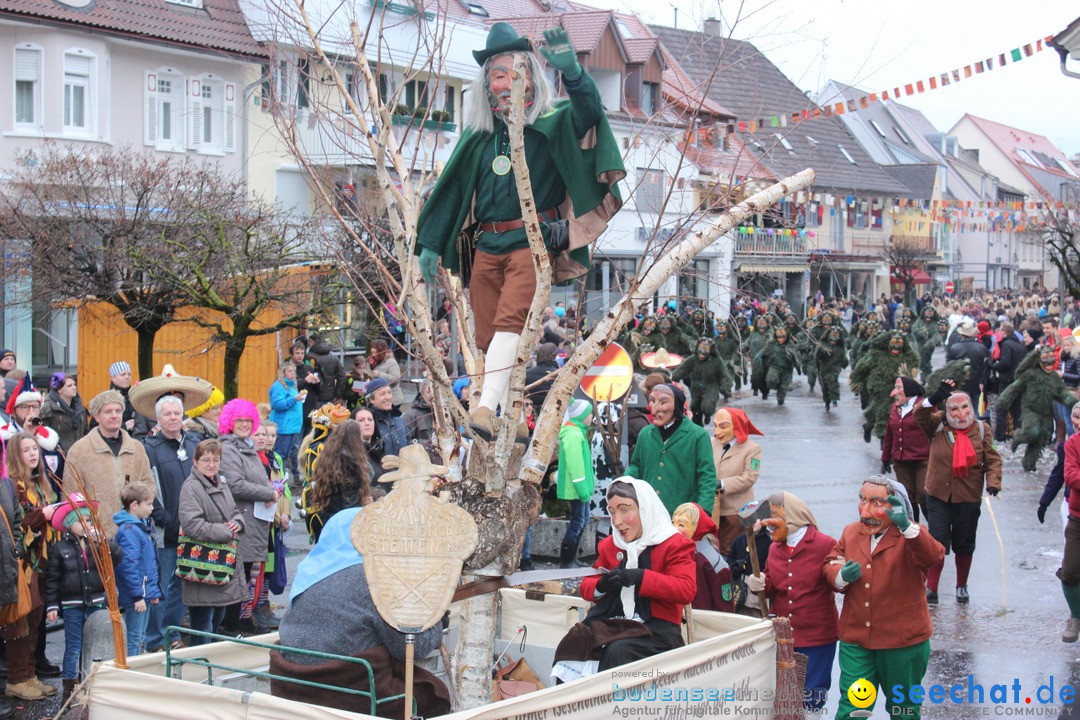 Fasnetsumzug - Fasching: Langenargen am Bodensee, 10.01.2016