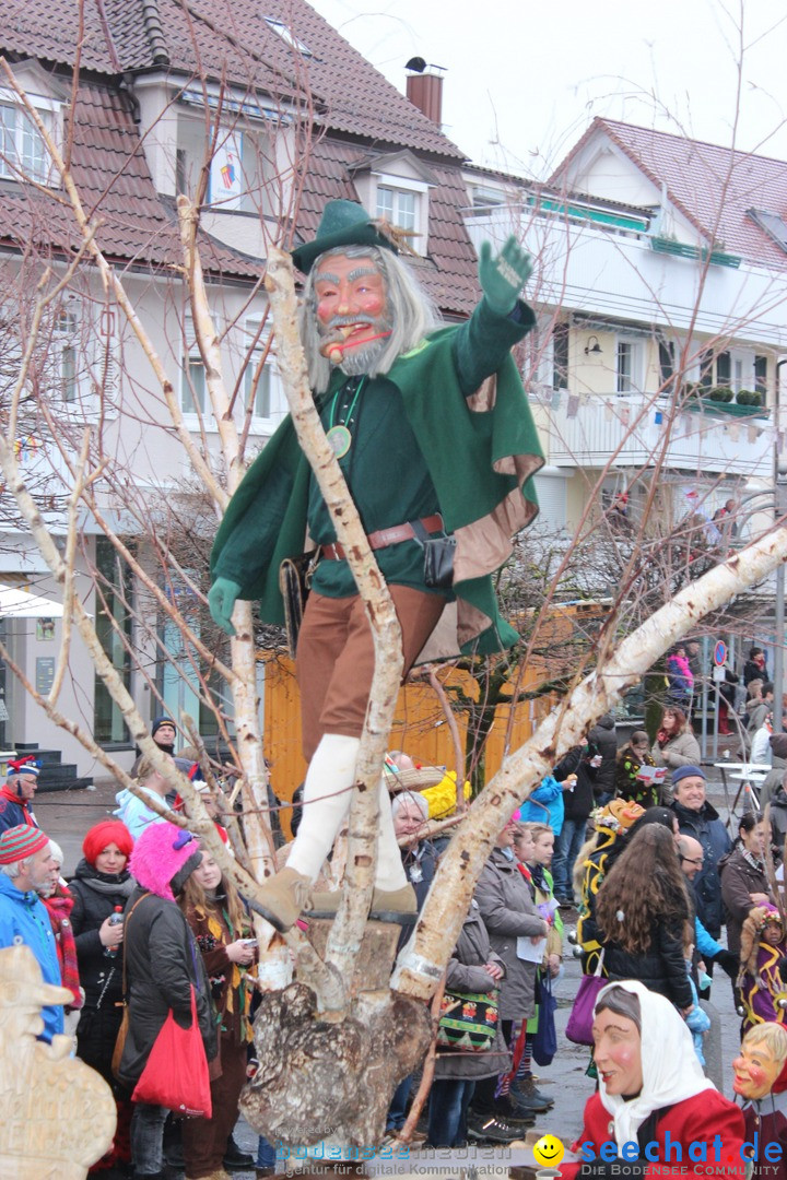 Fasnetsumzug - Fasching: Langenargen am Bodensee, 10.01.2016