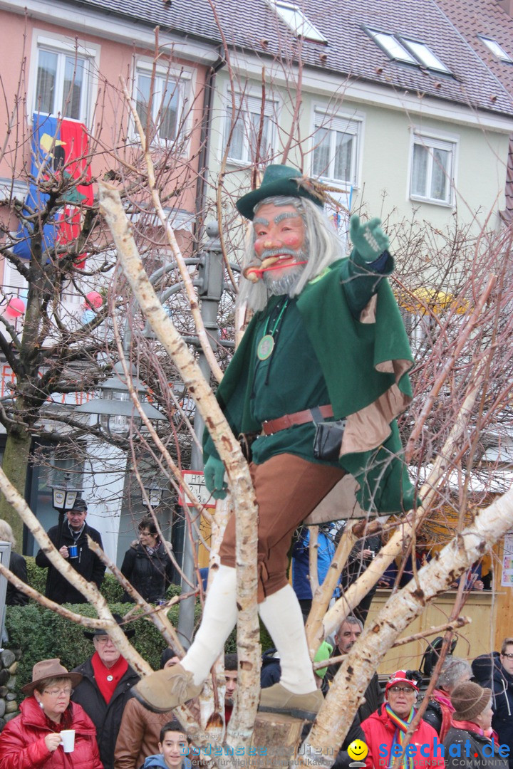 Fasnetsumzug - Fasching: Langenargen am Bodensee, 10.01.2016