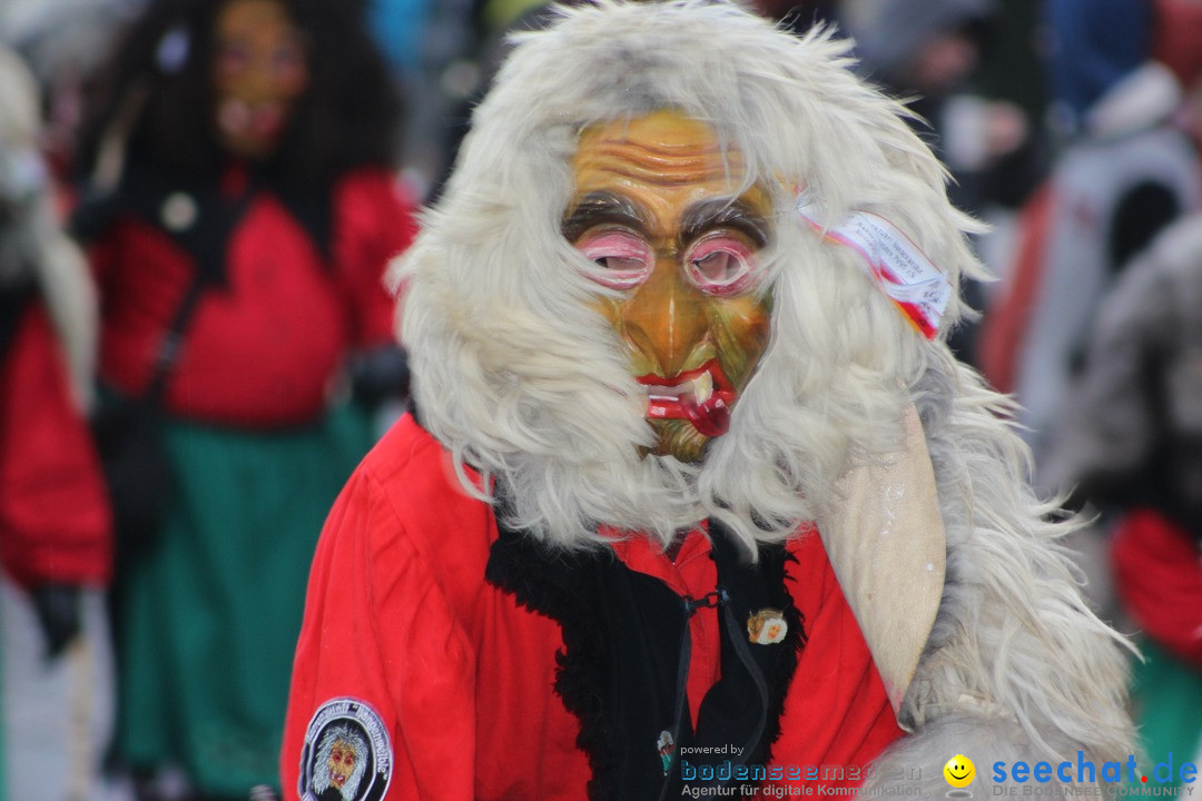 Fasnetsumzug - Fasching: Langenargen am Bodensee, 10.01.2016