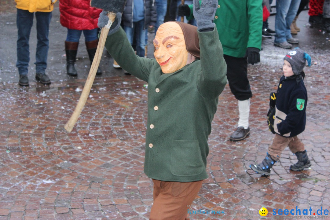 Fasnetsumzug - Fasching: Langenargen am Bodensee, 10.01.2016