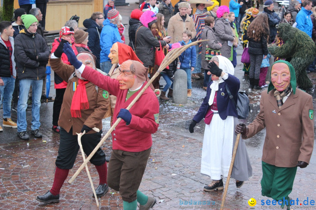 Fasnetsumzug - Fasching: Langenargen am Bodensee, 10.01.2016