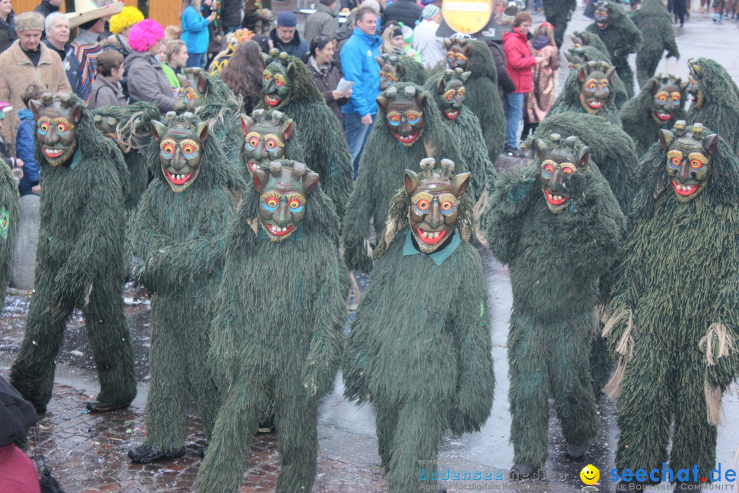 Fasnetsumzug - Fasching: Langenargen am Bodensee, 10.01.2016