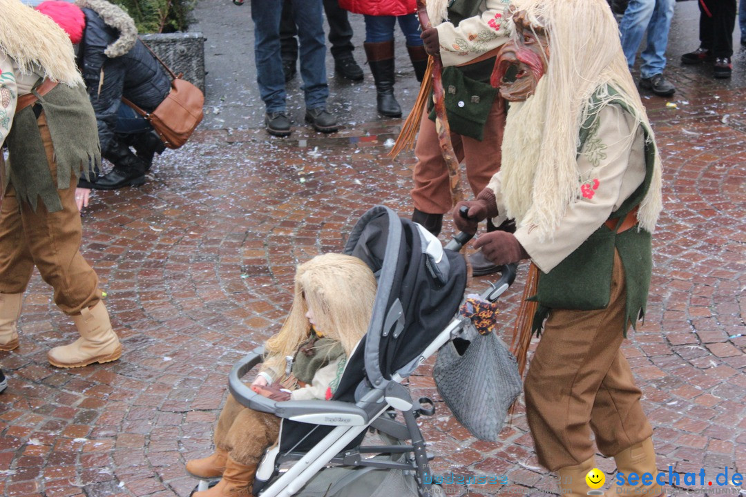 Fasnetsumzug - Fasching: Langenargen am Bodensee, 10.01.2016