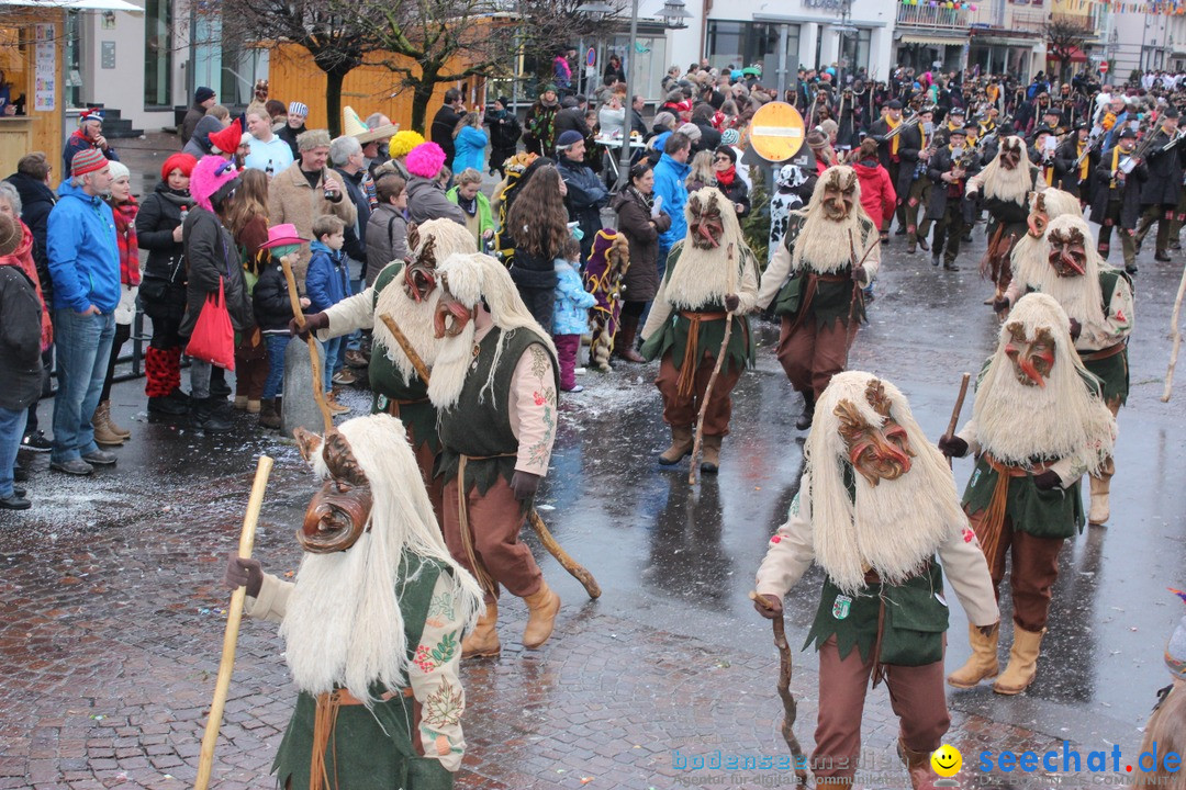 Fasnetsumzug - Fasching: Langenargen am Bodensee, 10.01.2016