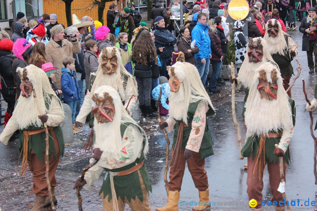 Fasnetsumzug - Fasching: Langenargen am Bodensee, 10.01.2016