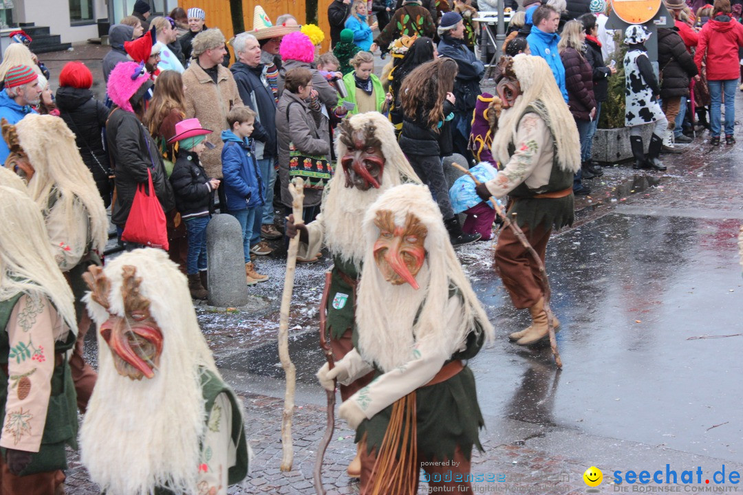 Fasnetsumzug - Fasching: Langenargen am Bodensee, 10.01.2016