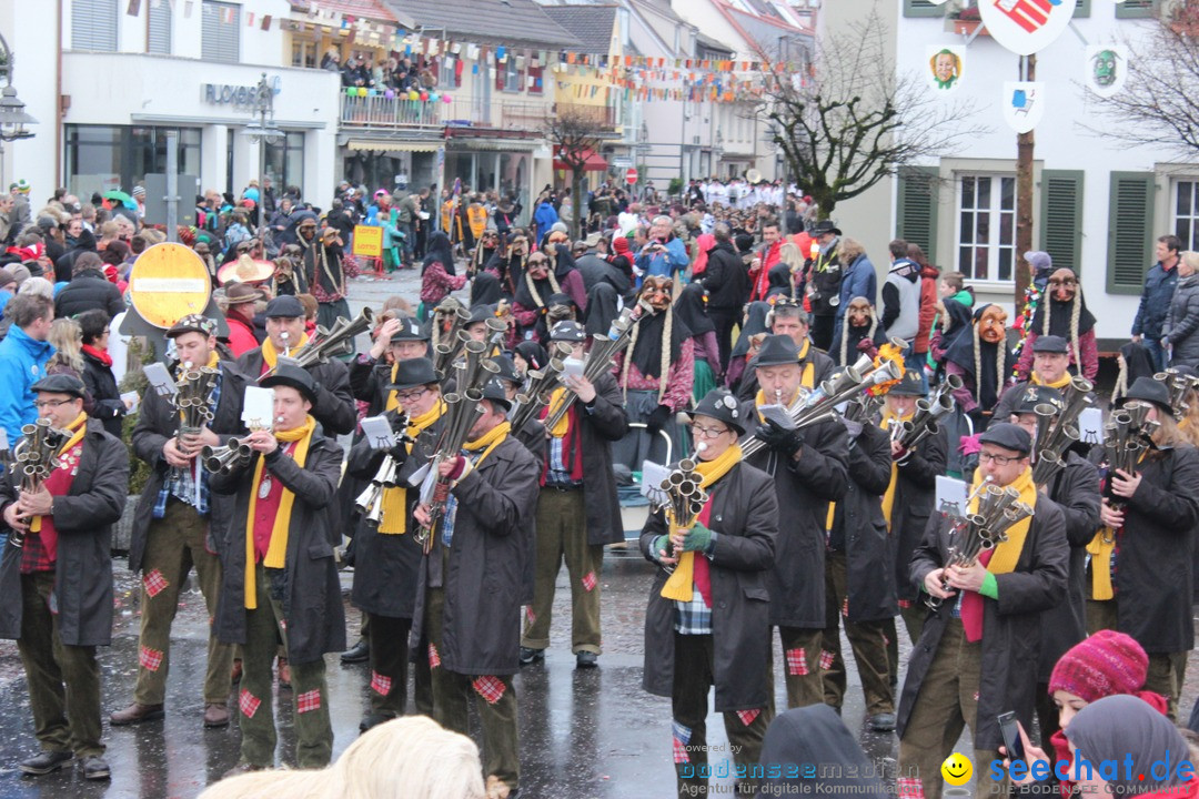 Fasnetsumzug - Fasching: Langenargen am Bodensee, 10.01.2016