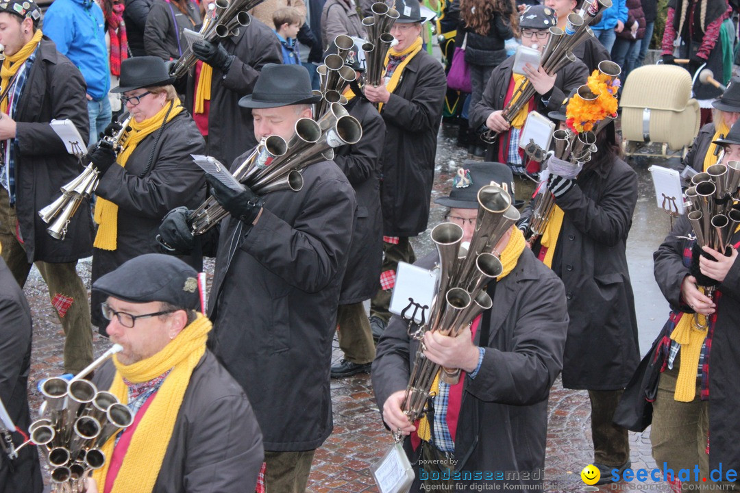 Fasnetsumzug - Fasching: Langenargen am Bodensee, 10.01.2016