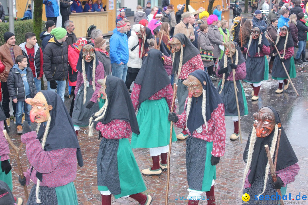 Fasnetsumzug - Fasching: Langenargen am Bodensee, 10.01.2016