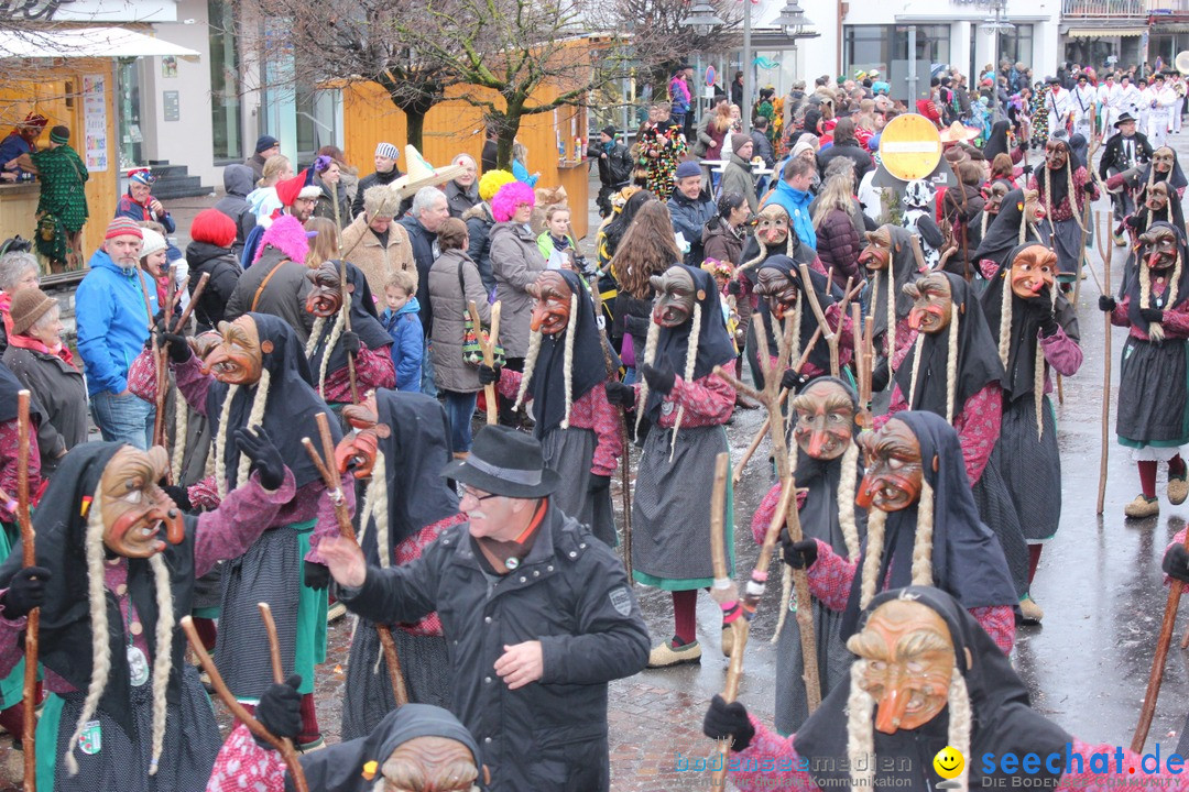 Fasnetsumzug - Fasching: Langenargen am Bodensee, 10.01.2016