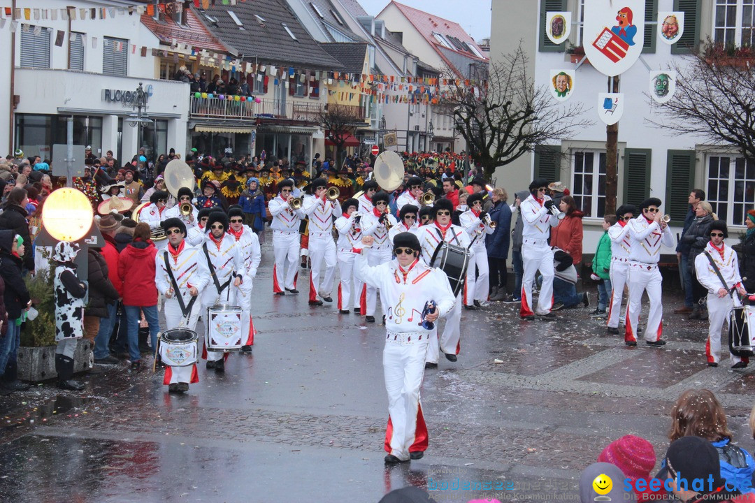 Fasnetsumzug - Fasching: Langenargen am Bodensee, 10.01.2016