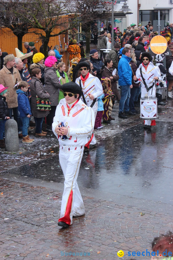 Fasnetsumzug - Fasching: Langenargen am Bodensee, 10.01.2016