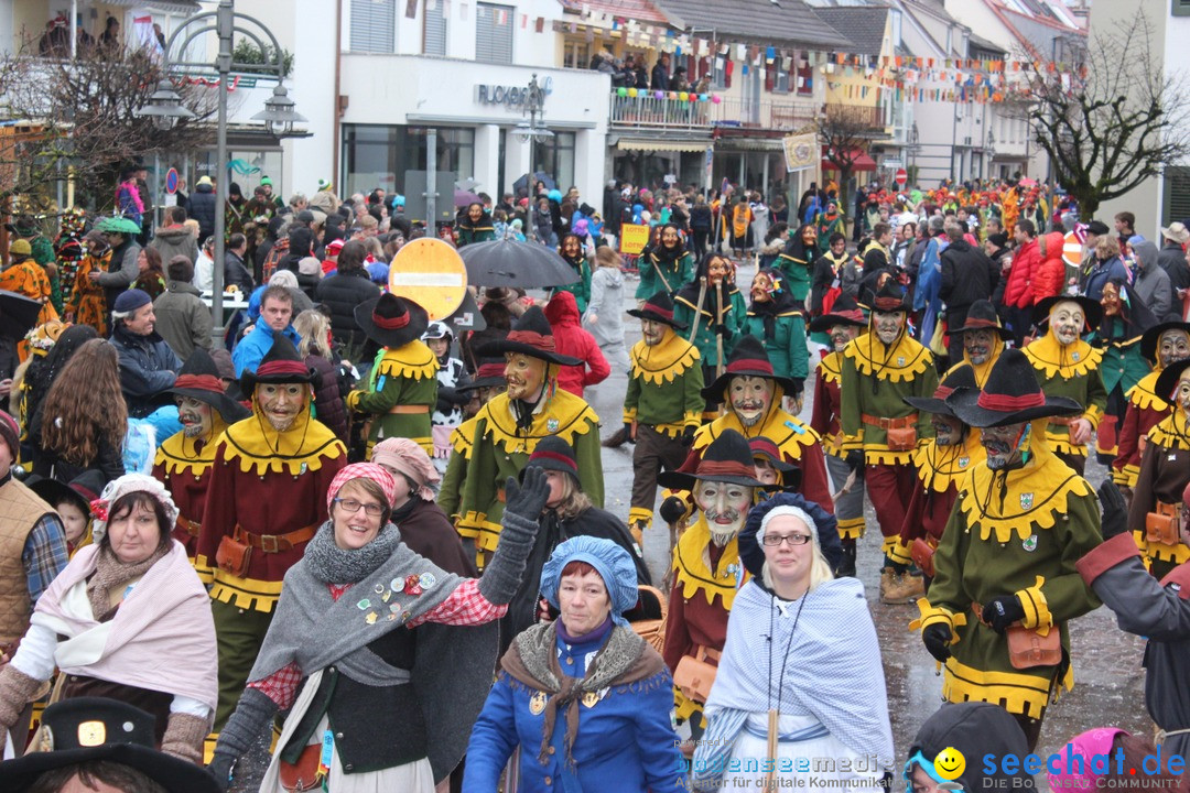 Fasnetsumzug - Fasching: Langenargen am Bodensee, 10.01.2016