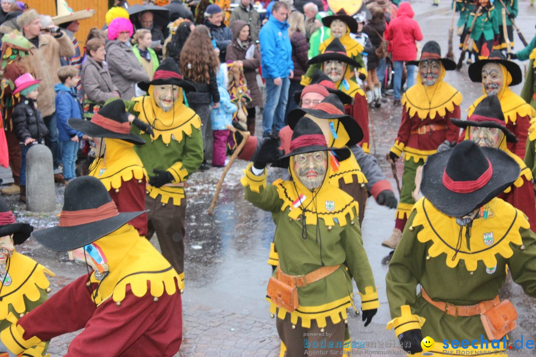 Fasnetsumzug - Fasching: Langenargen am Bodensee, 10.01.2016