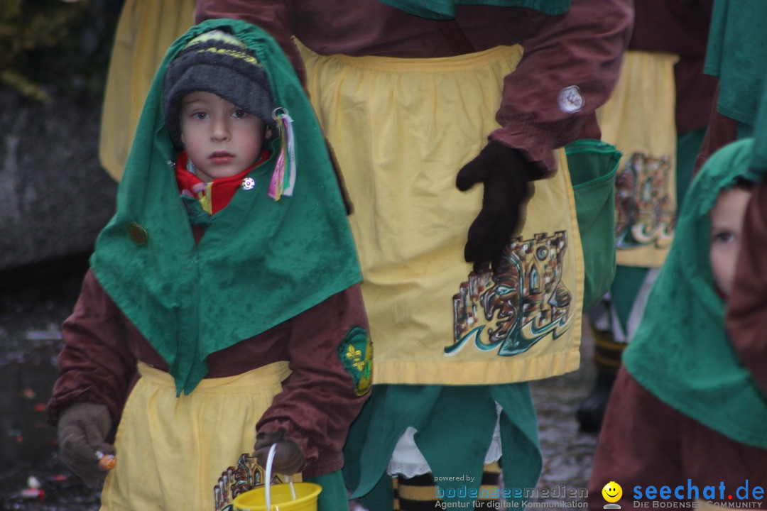 Fasnetsumzug - Fasching: Langenargen am Bodensee, 10.01.2016