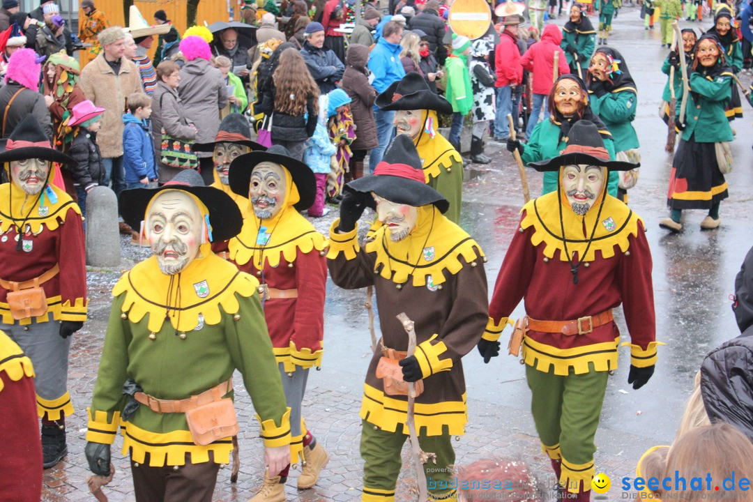 Fasnetsumzug - Fasching: Langenargen am Bodensee, 10.01.2016