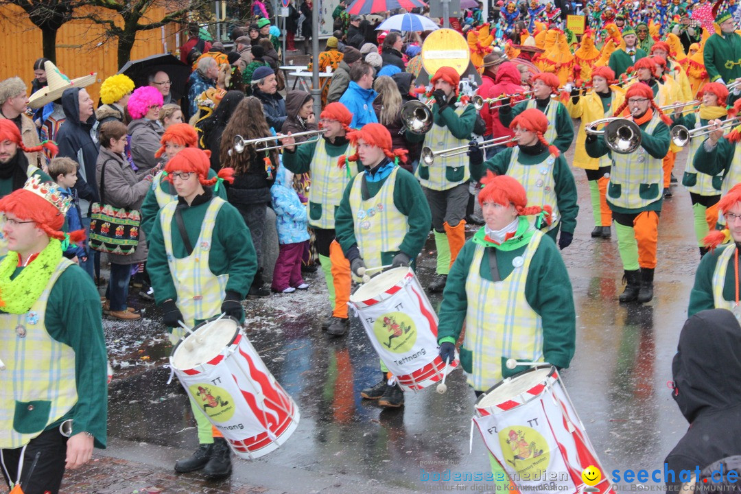 Fasnetsumzug - Fasching: Langenargen am Bodensee, 10.01.2016