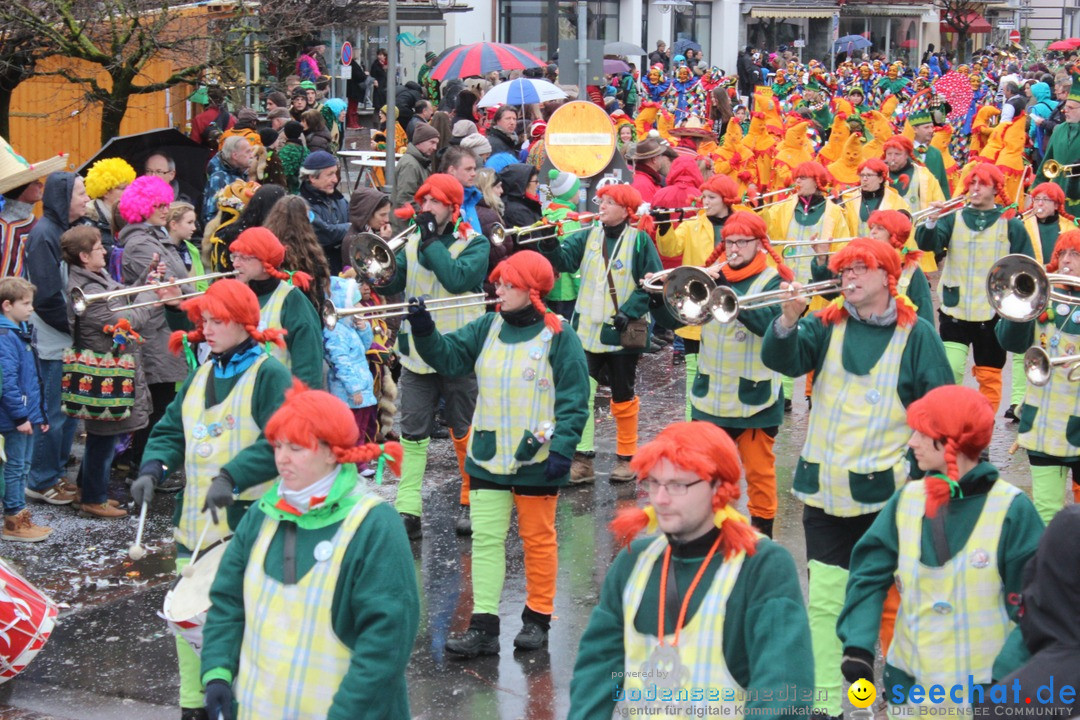 Fasnetsumzug - Fasching: Langenargen am Bodensee, 10.01.2016