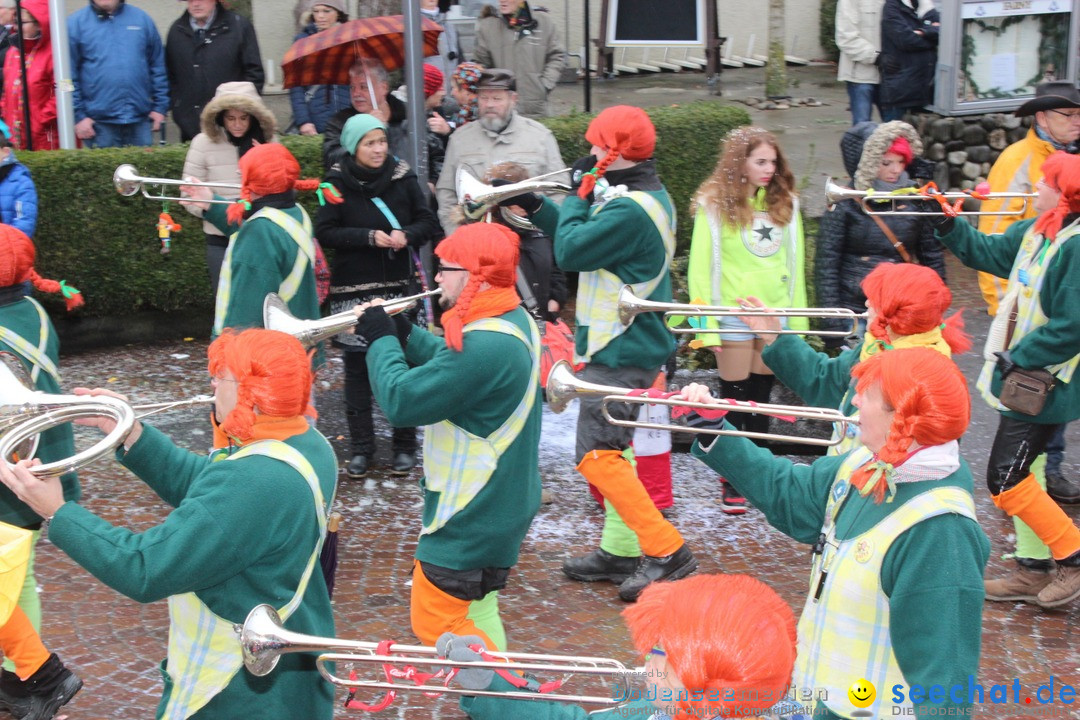 Fasnetsumzug - Fasching: Langenargen am Bodensee, 10.01.2016