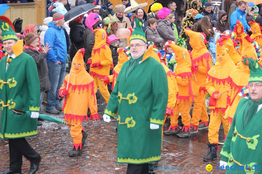 Fasnetsumzug - Fasching: Langenargen am Bodensee, 10.01.2016